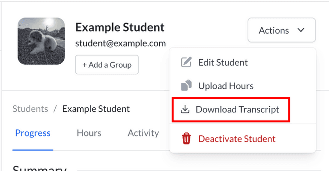 Transcript UI